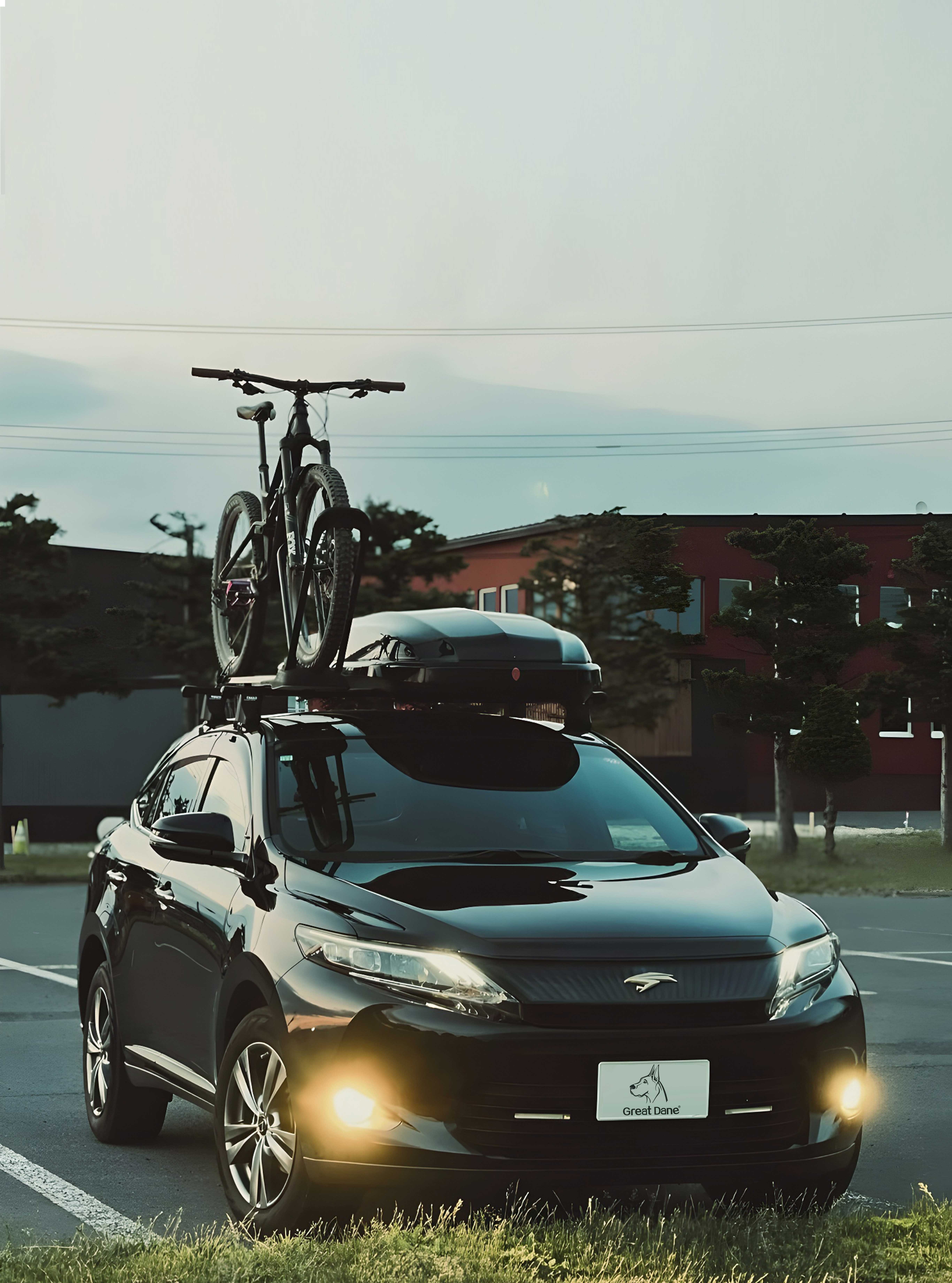 大丹犬GreatDane车顶自行车架