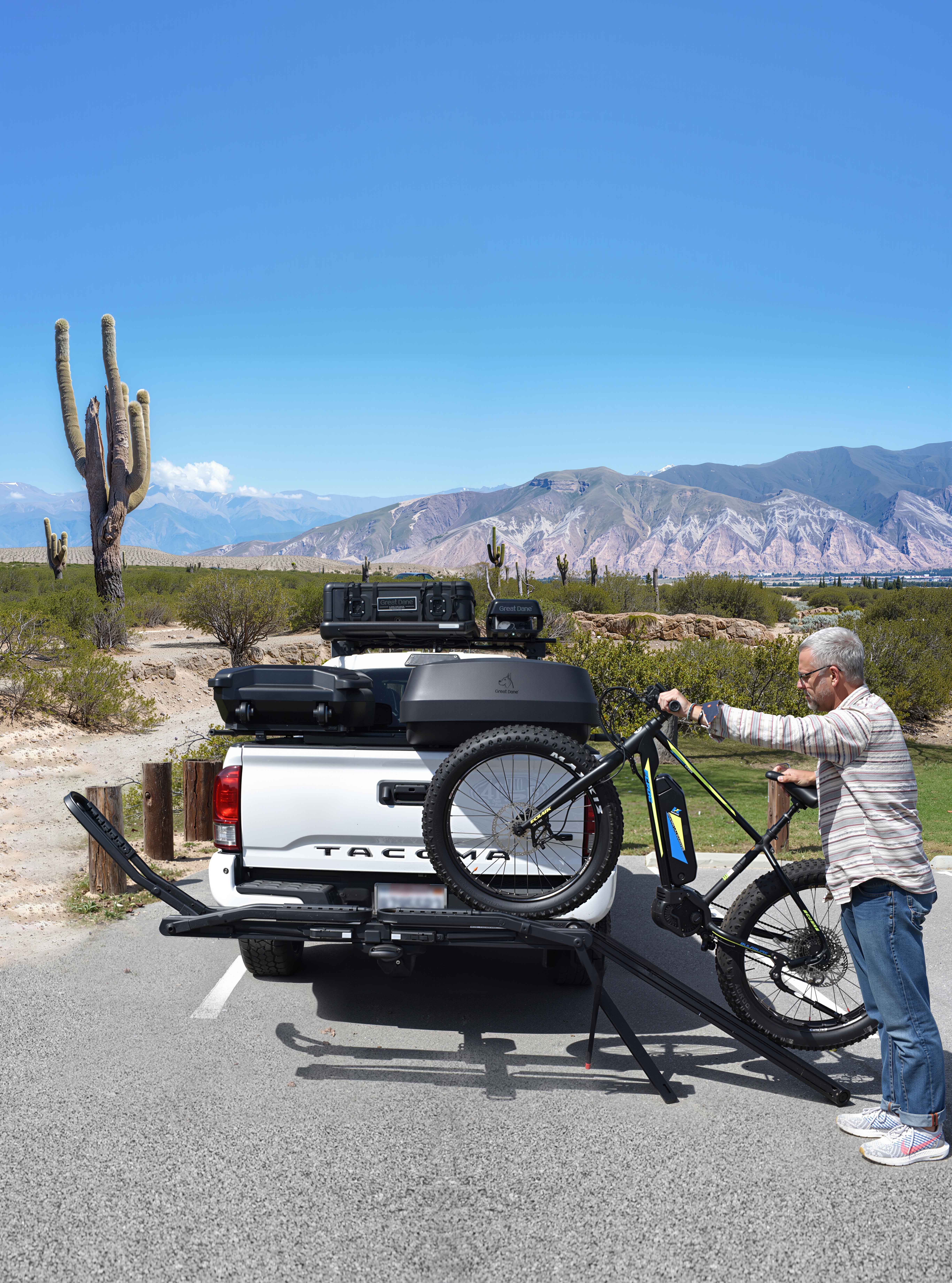 大丹犬GreatDane车尾自行车架