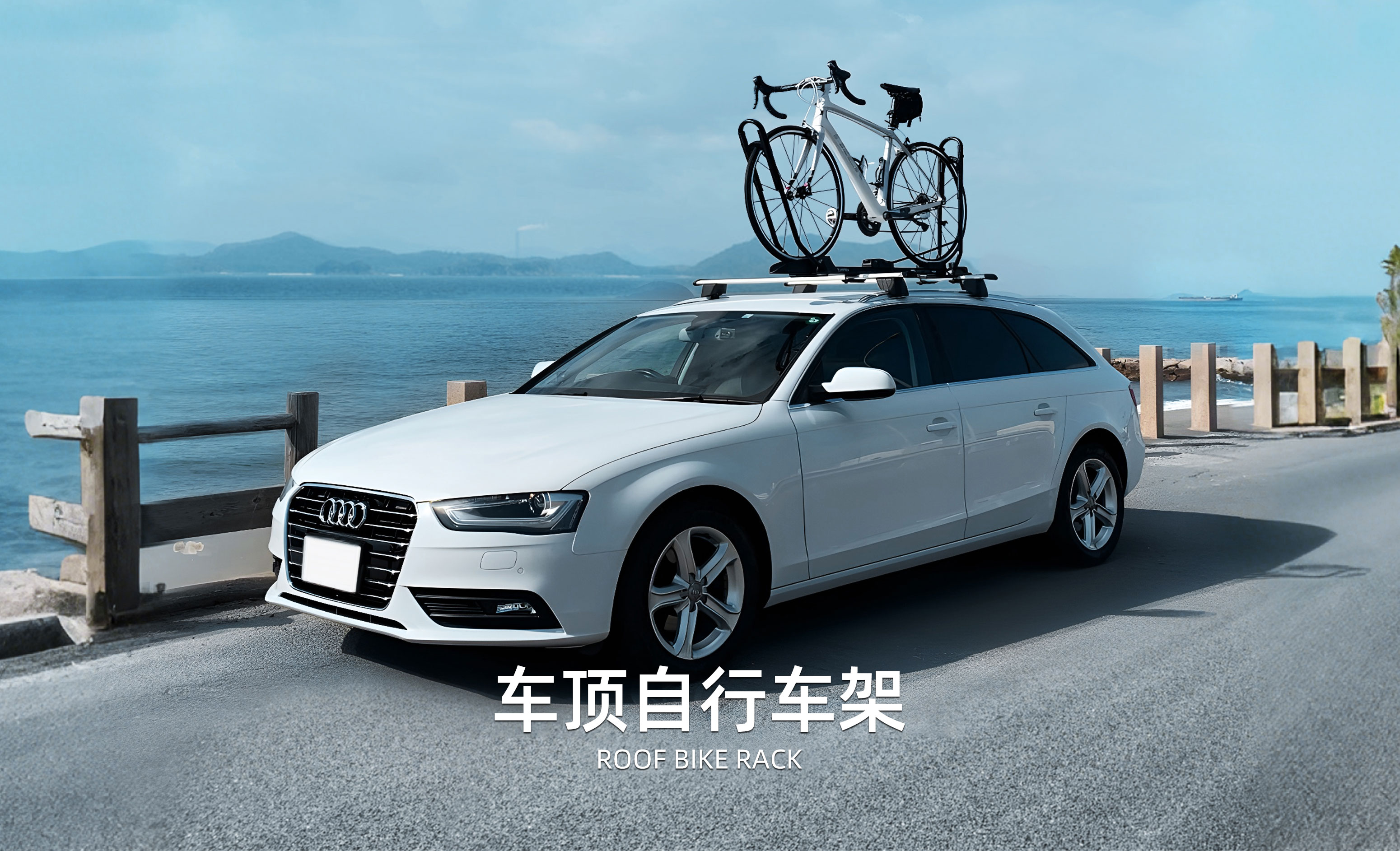 大丹犬GreatDane车顶自行车架