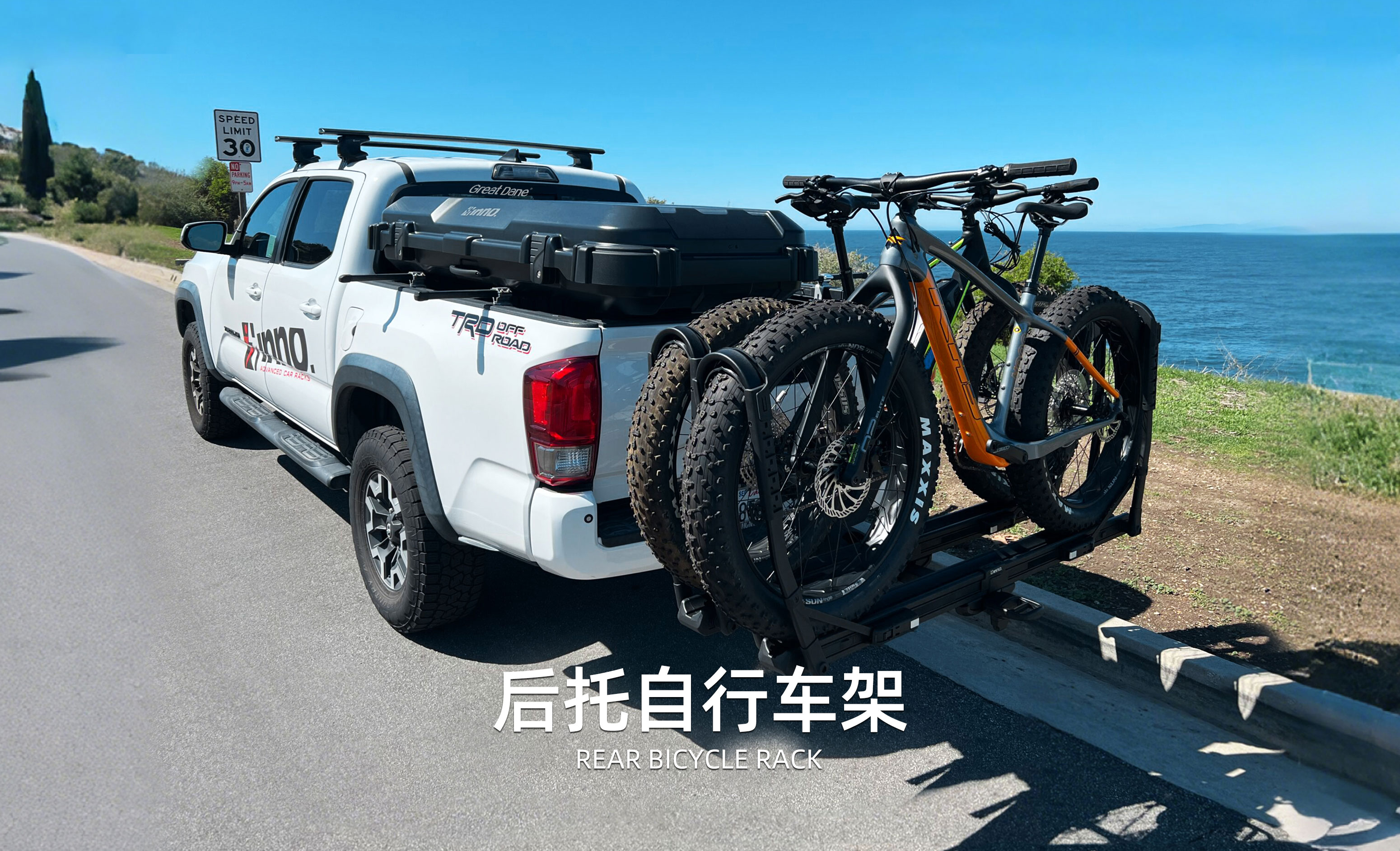 大丹犬GreatDane车尾自行车架